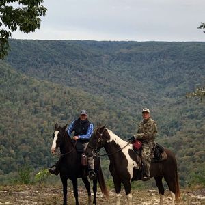 Meet your Posher, Brad